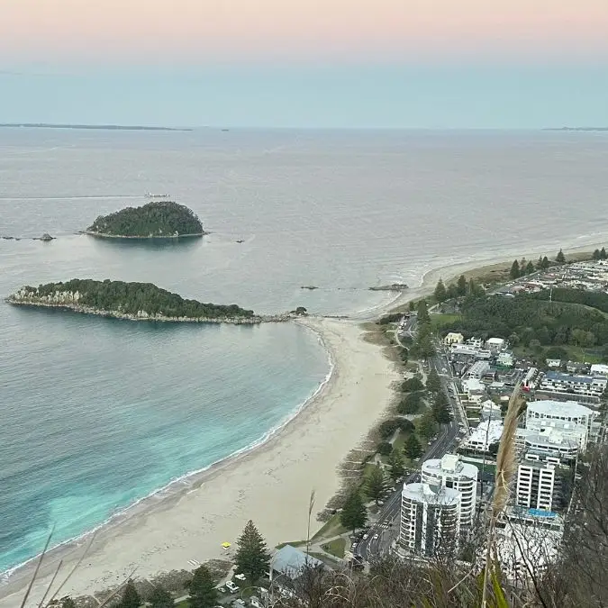 Mortgage Broker Mount Maunganui Simple Loan with Patricia